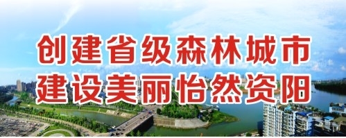 中国人的操逼网创建省级森林城市 建设美丽怡然资阳